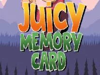Succès et Trophées de Juicy Memory Card