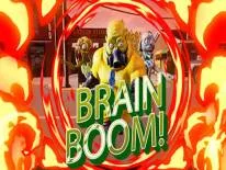 Astuces de Brain Boom pour PC