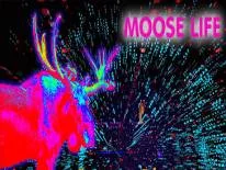 Succès et Trophées de Moose Life