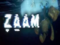 Succès et Trophées de ZAAM