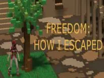 Astuces de Freedom: How I Escaped pour PC