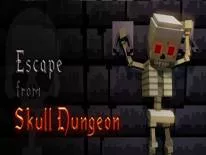 Astuces de Escape from Skull Dungeon pour PC