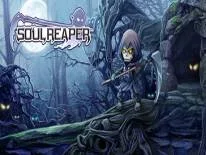 Succès et Trophées de Soul Reaper