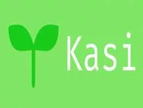 Succès et Trophées de Kasi