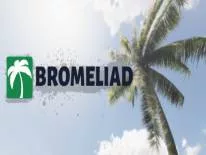 Astuces de Bromeliad pour PC