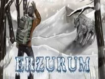 Astuces de Erzurum pour PC