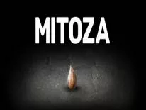 Succès et Trophées de Mitoza