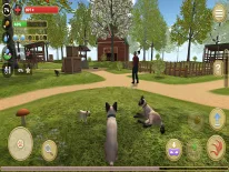 Astuces de Cat Simulator 2020 pour Android e iPhone