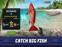 Astuces de Fishing Clash pour Android e iPhone