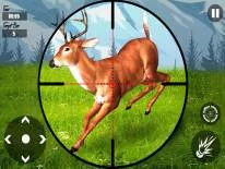 Astuces de Sniper Deer Hunt:New Free Shooting Action Games pour Android e iPhone