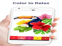 Astuces de Pixel Art: Colorear por números pour Android e iPhone