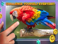 Astuces de Puzzle definitivi pour Android e iPhone