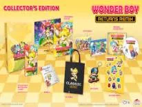 Astuces de Wonder Boy Anniversary Collection pour PS4, PS5 e Switch